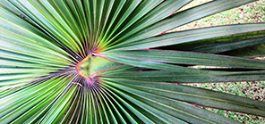 Photos al&eacute;atoires